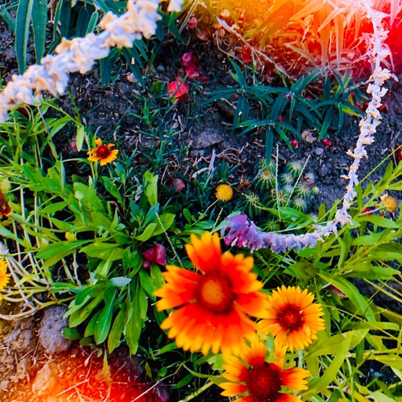 Lovely Star * Photo Print
”None of This is Real” - Picture 2 of 5